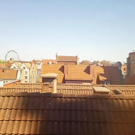 Celestin Gdansk